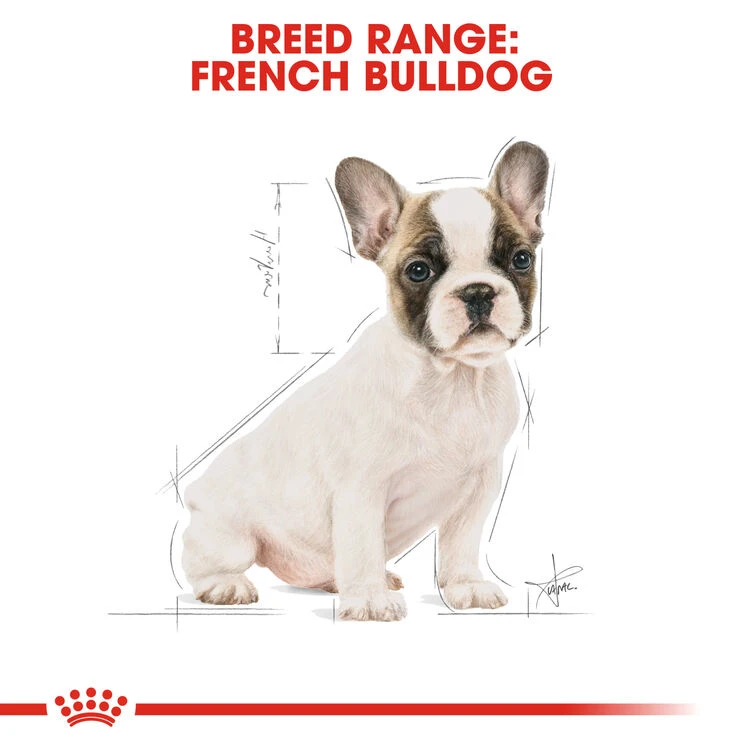 ROYAL CANIN® French Bulldog Puppy Dry Food 8 ROYAL CANIN® French Bulldog Puppy Dry Food - Image 6
