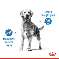 ROYAL CANIN® Medium Light Weight Care Adult Dry Dog Food -Pawfect Sales Store mpt4nldfthrvxmultujl
