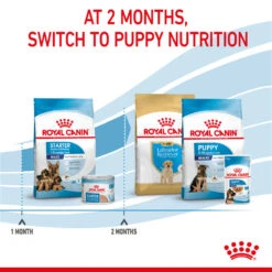 ROYAL CANIN® Maxi Large Breed Starter Mother & Babydog Adult And Puppy Dry Food 20 ROYAL CANIN® Maxi Large Breed Starter Mother & Babydog Adult And Puppy Dry Food -Pawfect Sales Store nqzzdwmrzv7hokyki8dt