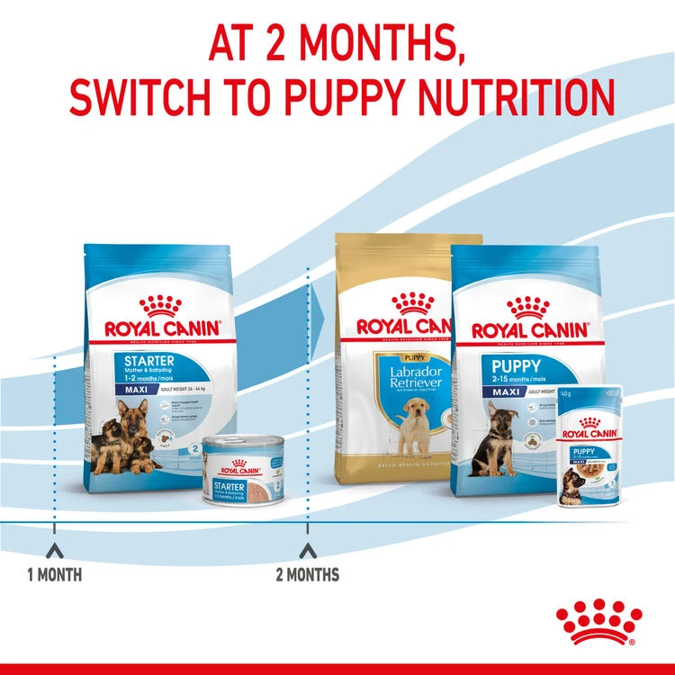 ROYAL CANIN® Maxi Large Breed Starter Mother & Babydog Adult And Puppy Dry Food 10 ROYAL CANIN® Maxi Large Breed Starter Mother & Babydog Adult And Puppy Dry Food - Image 8