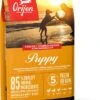 Orijen Puppy Dry Dog Food -Pawfect Sales Store ns canada emea apac orijen puppy front right 11.4kg 28129