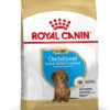 ROYAL CANIN® Dachshund Puppy Dry Food -Pawfect Sales Store oaipbnc9udhizjfmrzqc