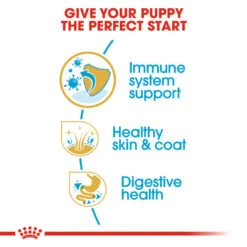 ROYAL CANIN® Cocker Puppy Dry Food -Pawfect Sales Store ornhrgcaz5munugptfaa