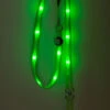 Nite Beams Flashing LED Dog Lead Green Medium/Large 2.5cm X 180cm