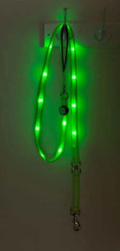 Nite Beams Flashing LED Dog Lead Green Medium/Large 2.5cm X 180cm