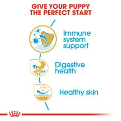 ROYAL CANIN® French Bulldog Puppy Dry Food 15 ROYAL CANIN® French Bulldog Puppy Dry Food -Pawfect Sales Store q1y8yxh2dnfym1h9jgey
