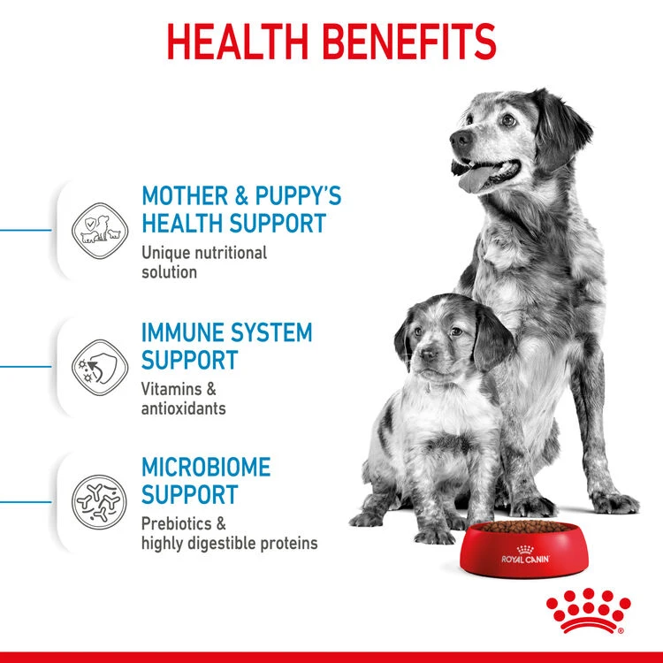 ROYAL CANIN® Medium Starter Mother & Babydog Adult And Puppy Dry Food 8 ROYAL CANIN® Medium Starter Mother & Babydog Adult And Puppy Dry Food - Image 6