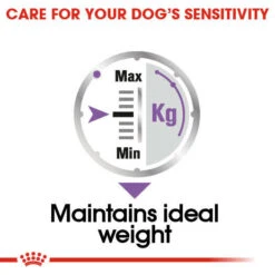 ROYAL CANIN® Sterilised Care Wet Pouches Adult Dog Food -Pawfect Sales Store qbr7516gshlslpe9achs