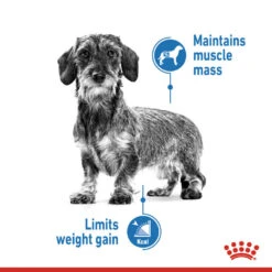 ROYAL CANIN® Light Weight Care Wet Pouches Adult Dog Food -Pawfect Sales Store qlggrwf4c3gifsyxvgwa 1