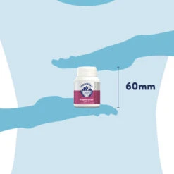 Dorwest Raspberry Leaf Tablets -Pawfect Sales Store rl100 pt12