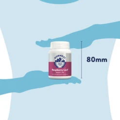 Dorwest Raspberry Leaf Tablets -Pawfect Sales Store rl200 pt12