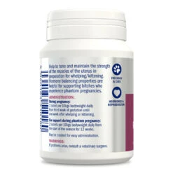 Dorwest Raspberry Leaf Tablets -Pawfect Sales Store rl200 s1