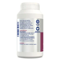 Dorwest Raspberry Leaf Tablets -Pawfect Sales Store rl500 s1