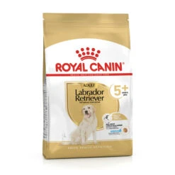ROYAL CANIN® Labrador Retriever Adult 5+ Dry Dog Food -Pawfect Sales Store rp5z2j5l3lqefc2bqzoz