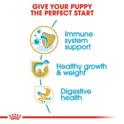 ROYAL CANIN® Labrador Retriever Puppy Dry Food -Pawfect Sales Store s2tunumqxjzg5gsyaj63