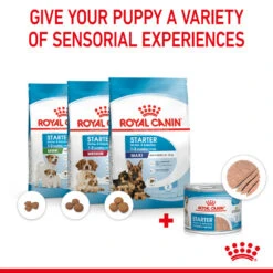 ROYAL CANIN® Starter Mother & Babydog Adult And Puppy Wet Food -Pawfect Sales Store s6iaw1ln1obxinwy7x7j