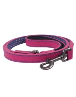 Joules Pink Leather Dog Lead