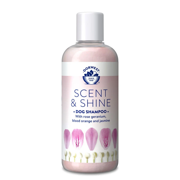 Dorwest Scent & Shine Shampoo 10 Dorwest Scent & Shine Shampoo - Image 8