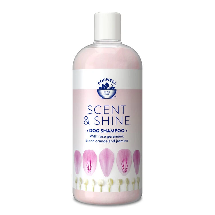 Dorwest Scent & Shine Shampoo 7 Dorwest Scent & Shine Shampoo - Image 5