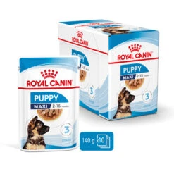 ROYAL CANIN® Maxi Large Breed Puppy In Gravy Wet Food -Pawfect Sales Store ttzycz3uklwot32vkew4