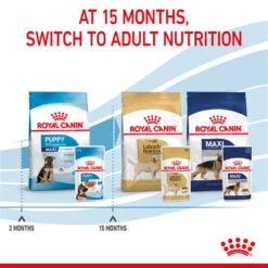 ROYAL CANIN® Maxi Large Breed Puppy In Gravy Wet Food -Pawfect Sales Store uproovp0ccs9clbwylhd