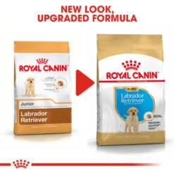 ROYAL CANIN® Labrador Retriever Puppy Dry Food -Pawfect Sales Store uyzxlfmym0jeekcgfv9d