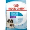 ROYAL CANIN® Giant Breeds Starter Mother & Babydog Adult And Puppy Dry Food -Pawfect Sales Store v3rq0yjyniovwep7hgpg