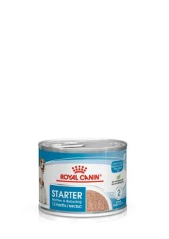 ROYAL CANIN® Starter Mother & Babydog Adult And Puppy Wet Food -Pawfect Sales Store vlnlbhukitysuxfaspnf