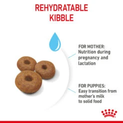 ROYAL CANIN® Maxi Large Breed Starter Mother & Babydog Adult And Puppy Dry Food 19 ROYAL CANIN® Maxi Large Breed Starter Mother & Babydog Adult And Puppy Dry Food -Pawfect Sales Store w56l0k9bqpsws6rtzqkn