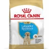 ROYAL CANIN® Labrador Retriever Puppy Dry Food -Pawfect Sales Store wakoes9u7znthjefyjzm