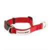 Great&Small Doodley Dogs Red Plain Nylon Collar -Pawfect Sales Store wee 6