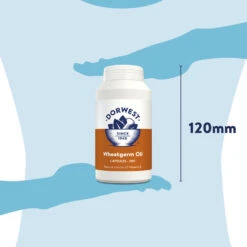 Dorwest Wheatgerm Oil Capsules -Pawfect Sales Store wgo200 pt12