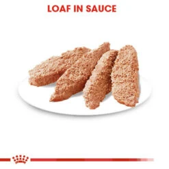 ROYAL CANIN® Digestive Care Wet Pouches All Breeds Adult Dog Food 14 ROYAL CANIN® Digestive Care Wet Pouches All Breeds Adult Dog Food -Pawfect Sales Store x3zd4zat0hb6dmdtpqo3