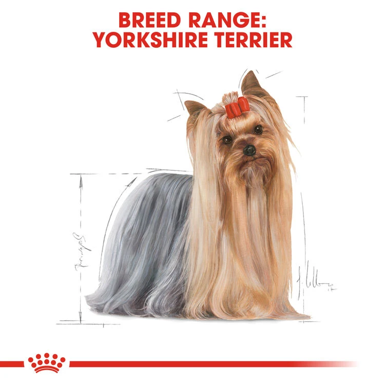 ROYAL CANIN® Yorkshire Terrier Adult Dry Dog Food 5 ROYAL CANIN® Yorkshire Terrier Adult Dry Dog Food - Image 3