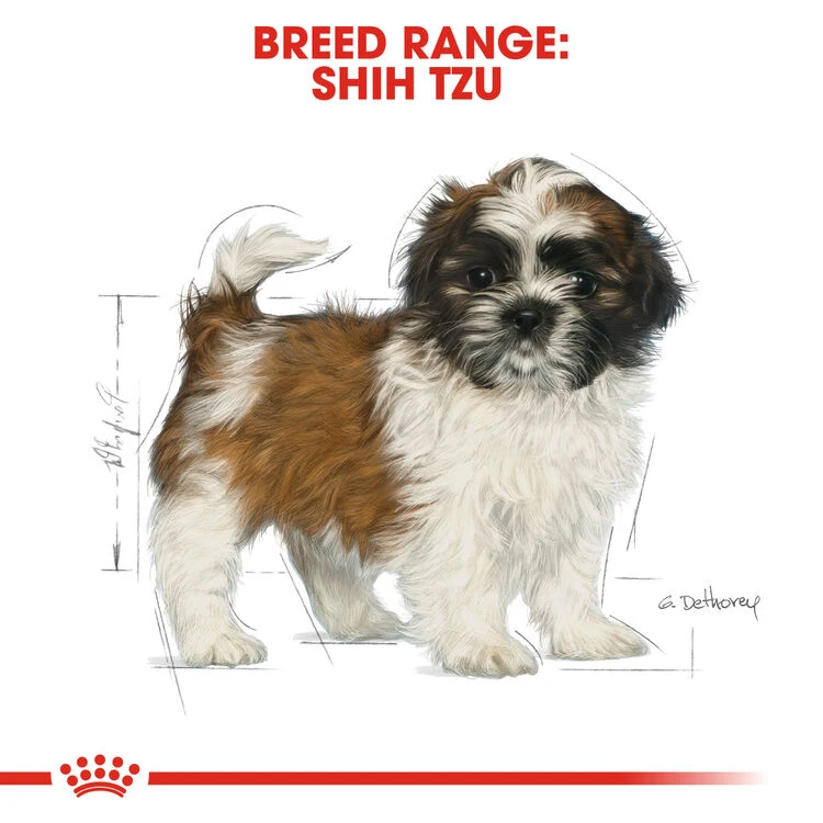 ROYAL CANIN® Shih Tzu Puppy Dry Food 8 ROYAL CANIN® Shih Tzu Puppy Dry Food - Image 6