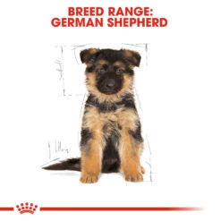 ROYAL CANIN® German Shepherd Puppy Dry Dog Food 16 ROYAL CANIN® German Shepherd Puppy Dry Dog Food -Pawfect Sales Store xlj0sik3nutnnuybvf0g