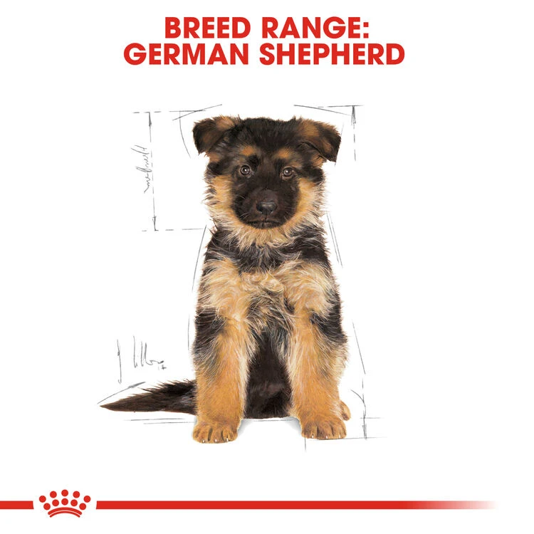 ROYAL CANIN® German Shepherd Puppy Dry Dog Food 8 ROYAL CANIN® German Shepherd Puppy Dry Dog Food - Image 6
