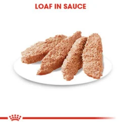 ROYAL CANIN® Sterilised Care Wet Pouches Adult Dog Food -Pawfect Sales Store xqsbq34i0ek6fps21awi