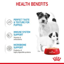 ROYAL CANIN® Starter Mother & Babydog Adult And Puppy Wet Food -Pawfect Sales Store xsnhncd6pds6jvywiunn