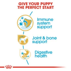 ROYAL CANIN® Dachshund Puppy Dry Food -Pawfect Sales Store y7xdrg5ihpemnitaxwxo