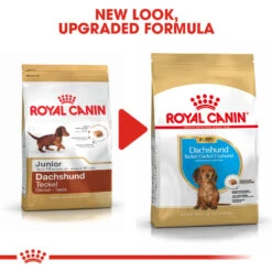 ROYAL CANIN® Dachshund Puppy Dry Food -Pawfect Sales Store yknkxd0zgwbyfadpaelp