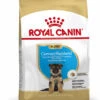 ROYAL CANIN® German Shepherd Puppy Dry Dog Food 2 ROYAL CANIN® German Shepherd Puppy Dry Dog Food -Pawfect Sales Store ywcncpgtqebtuyatjwso