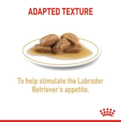 ROYAL CANIN® Labrador Retriever Adult In Gravy Wet Dog Food -Pawfect Sales Store zfgyt6not7ckardn3gsb