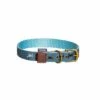 FatFace Marching Dogs Collar -Pawfect Sales Store zfunqzbg