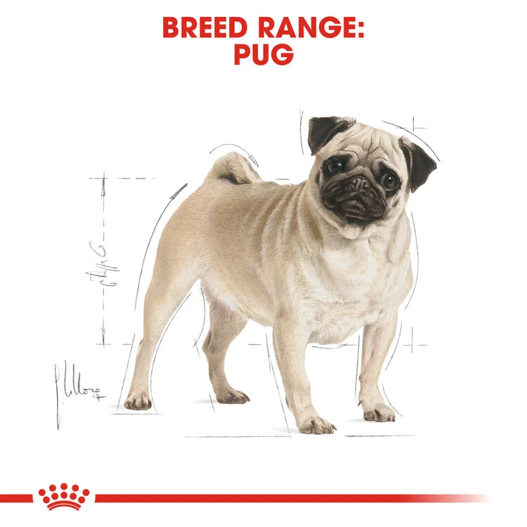 ROYAL CANIN® Pug Adult Dry Dog Food 5 ROYAL CANIN® Pug Adult Dry Dog Food - Image 3